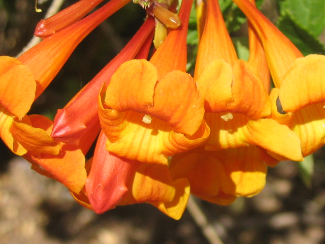 618x457 pixels (167K)